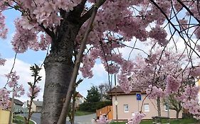 Apartmány na Vršku